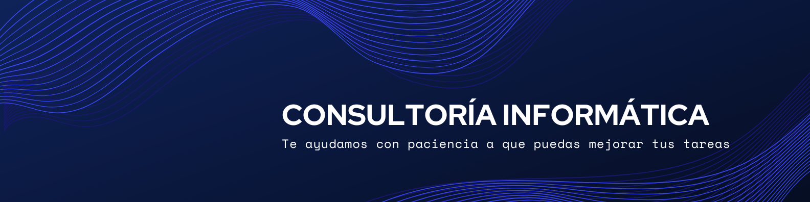 consultora informatica